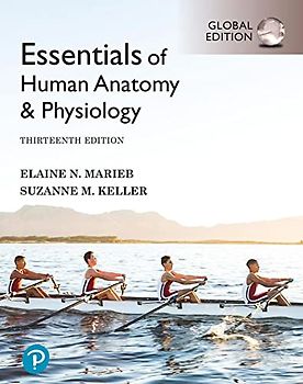 Essentials of Human Anatomy & Physiology, Global Edition + Mastering A&P with Pearson eText