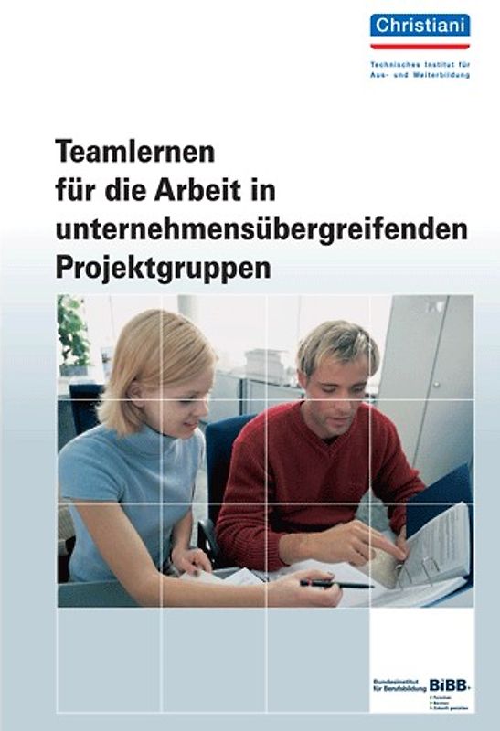 Teamlernen für die Arbeit in unternehmensübergreifenden Projektgruppen