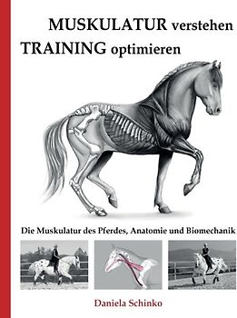 Muskulatur verstehen - Training optimieren