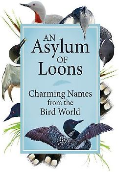 An Asylum of Loons