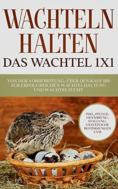 Wachteln halten - Das Wachtel 1x1