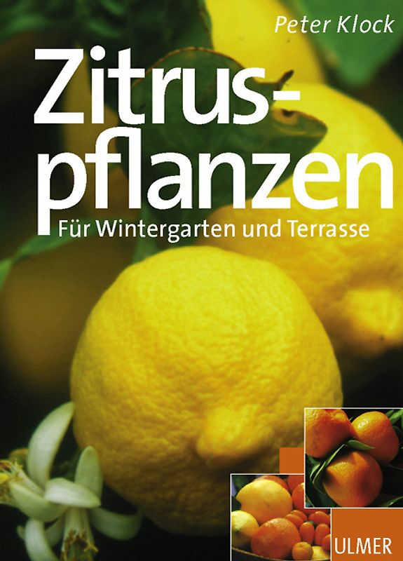 Zitruspflanzen