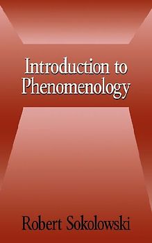 Introduction to Phenomenology