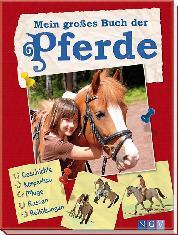 Mein großes Buch der Pferde