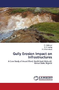 Gully Erosion Impact on Infrastructures
