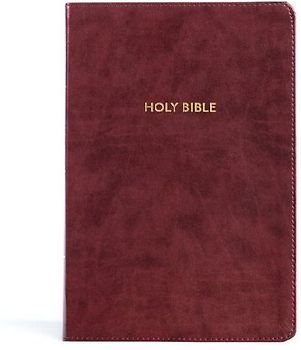 KJV Rainbow Study Bible, Burgundy Leathertouch