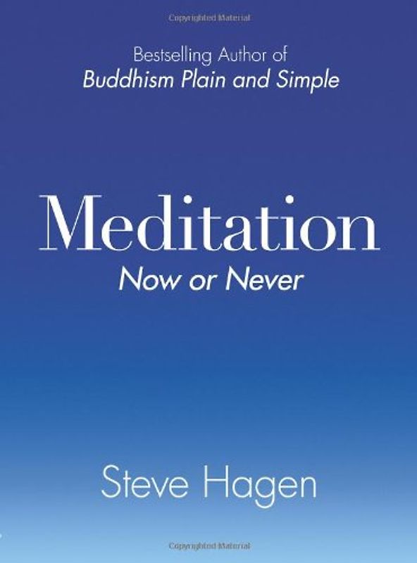 Meditation Now or Never - Steve Hagen