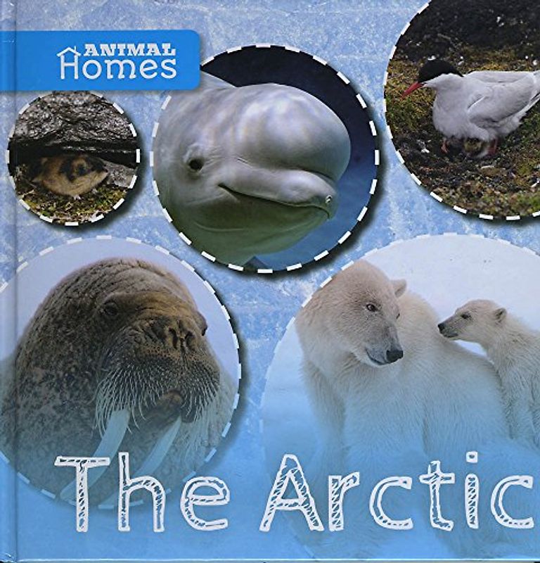 The Arctic (Animal Homes)