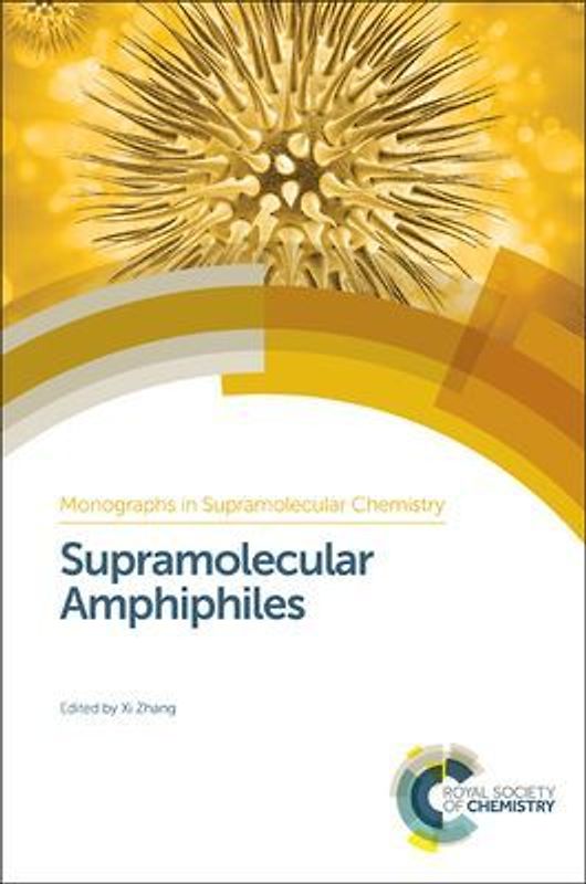 Supramolecular Amphiphiles