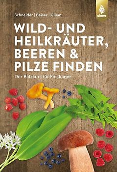 Wild- und Heilkräuter, Beeren und Pilze finden