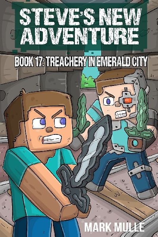 Steve's New Adventure Book 17