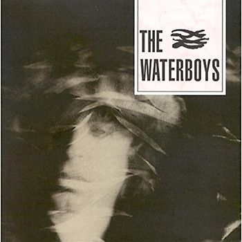 the Waterboys - The Waterboys
