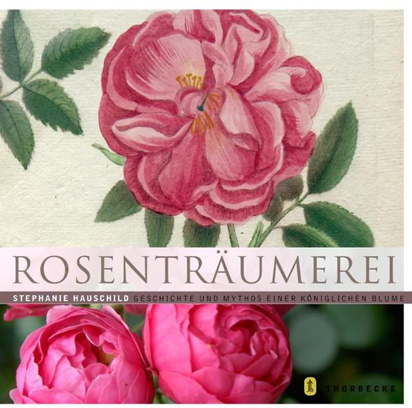 Rosenträumerei