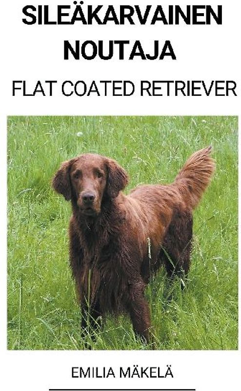 Sileäkarvainen Noutaja (Flat Coated Retriever)