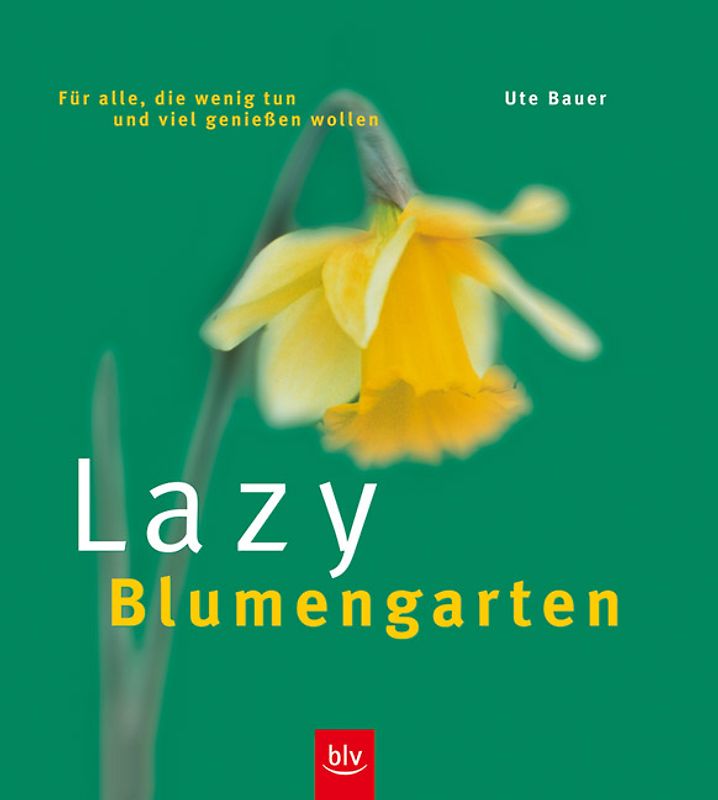 Lazy Blumengarten