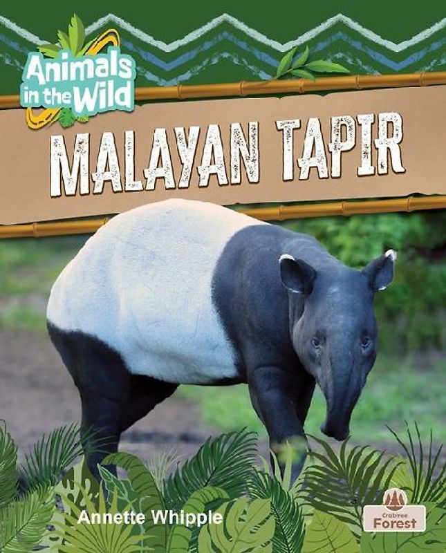 Malayan Tapir