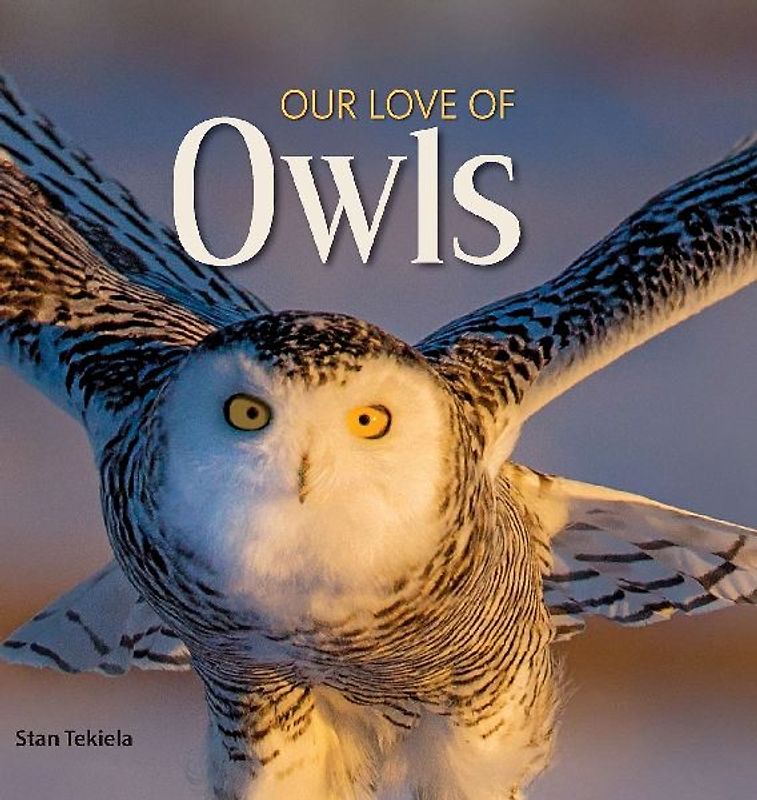 Our Love of Owls