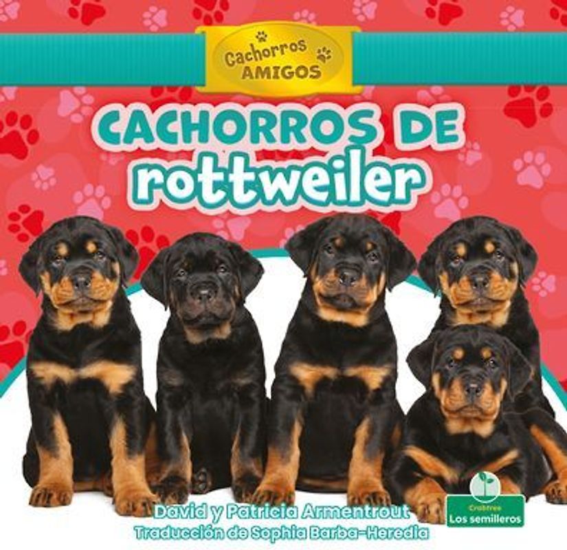 Cachorros de Rottweiler (Rottweiler Puppies)