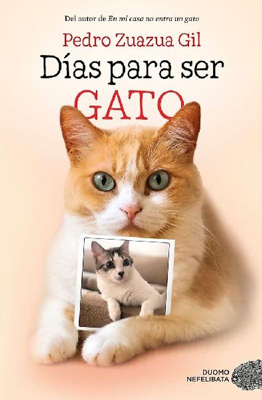 Dias Para Ser Gato