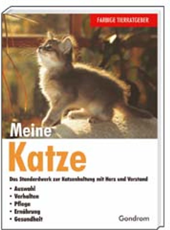 Meine Katze