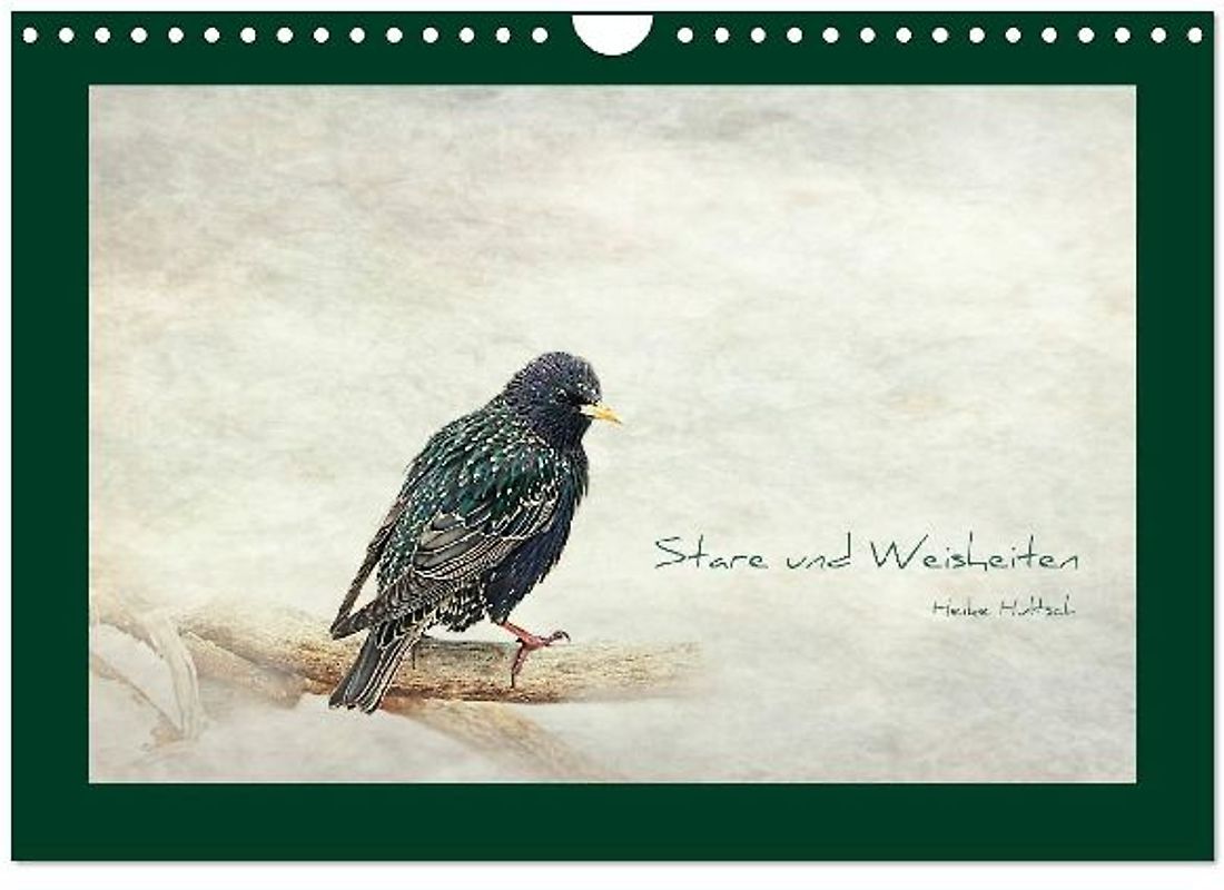 Lehigh River Paddling Guide