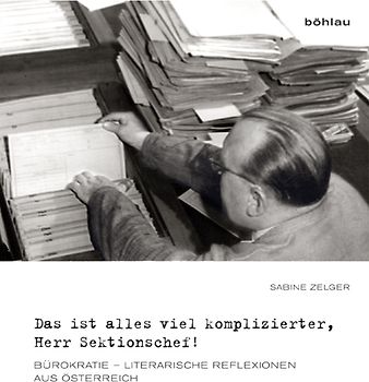 Das ist alles viel komplizierter, Herr Sektionschef!