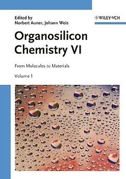 Organosilicon Chemistry. From Molecules to Materials / Organosilicon Chemistry VI