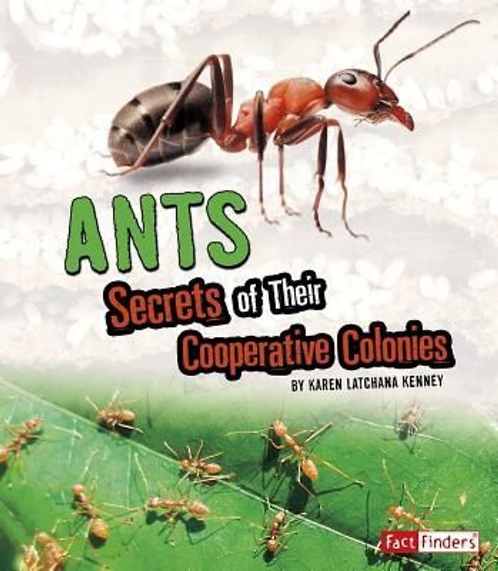 Ants