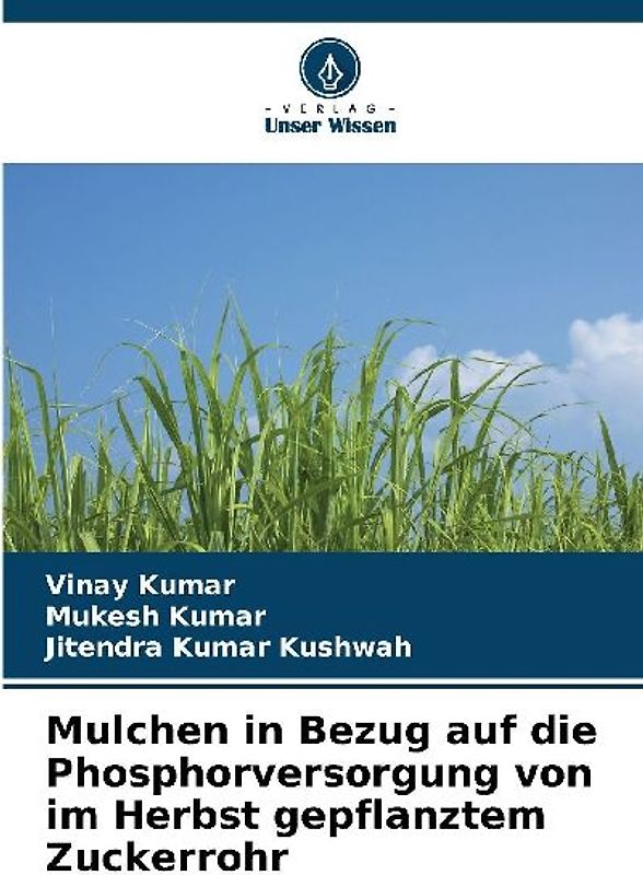 Mulchen in Bezug auf die Phosphorversorgung von im Herbst gepflanztem Zuckerrohr