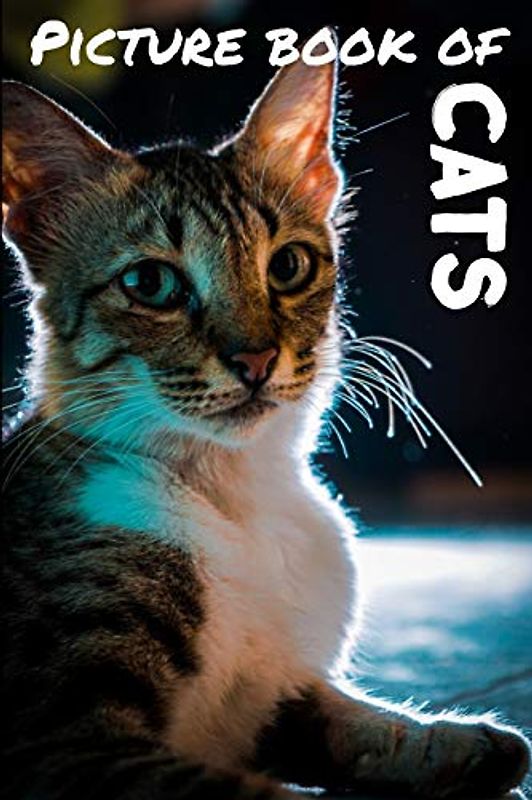Picture book of cats: Photos of cats - Calming book for kids and seniors - Perfect picture book for seniors with dementia or Alzheimer - 6 x 9 inches