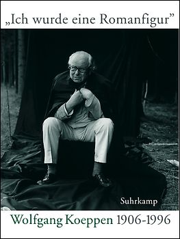 Ich wurde eine Romanfigur