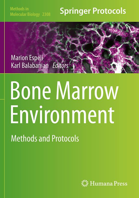 Bone Marrow Environment
