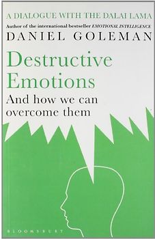 Destructive Emotions