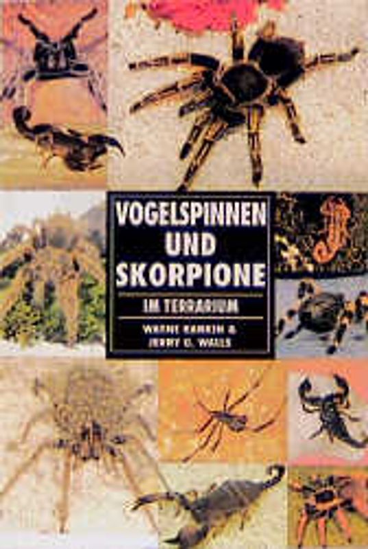 Vogelspinnen und Skorpione