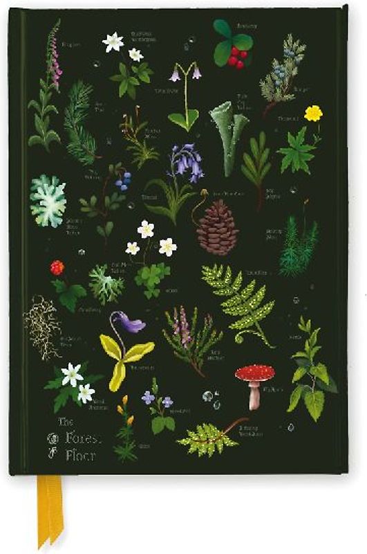 Anna Stead: The Forest Floor (Foiled Journal)