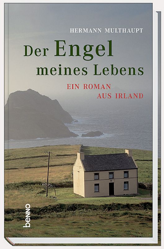 Der Engel meines Lebens. Ein Roman aus Irland