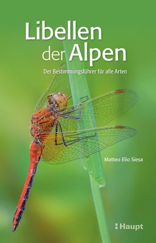 Libellen der Alpen