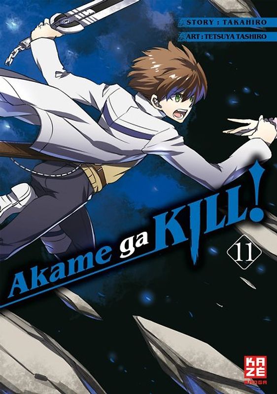 Akame ga KILL! 11