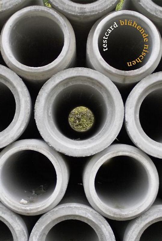 testcard #19: Blühende Nischen