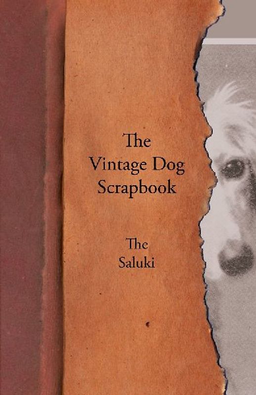 The Vintage Dog Scrapbook - The Saluki