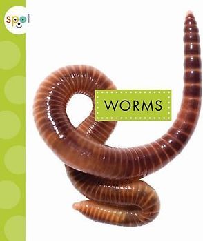 Worms