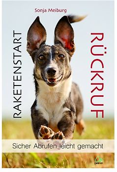 Raketenstart Rückruf