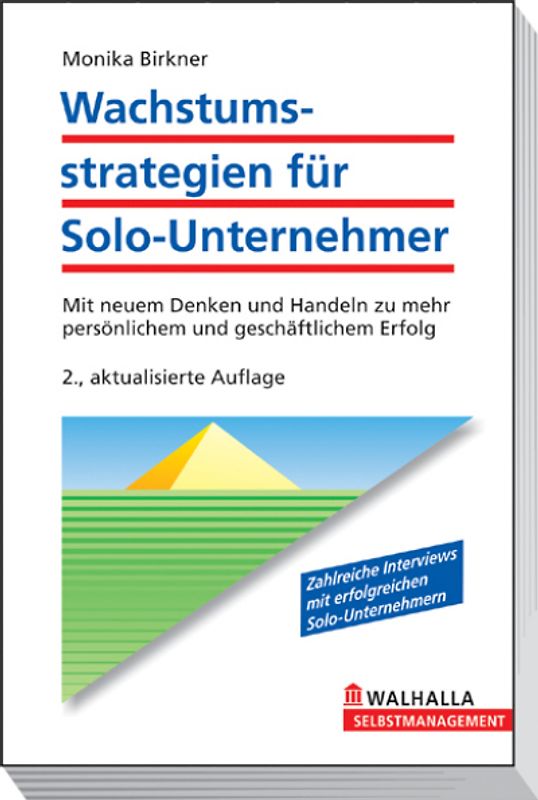 Wachstumsstrategien für Solo- und Kleinunternehmer