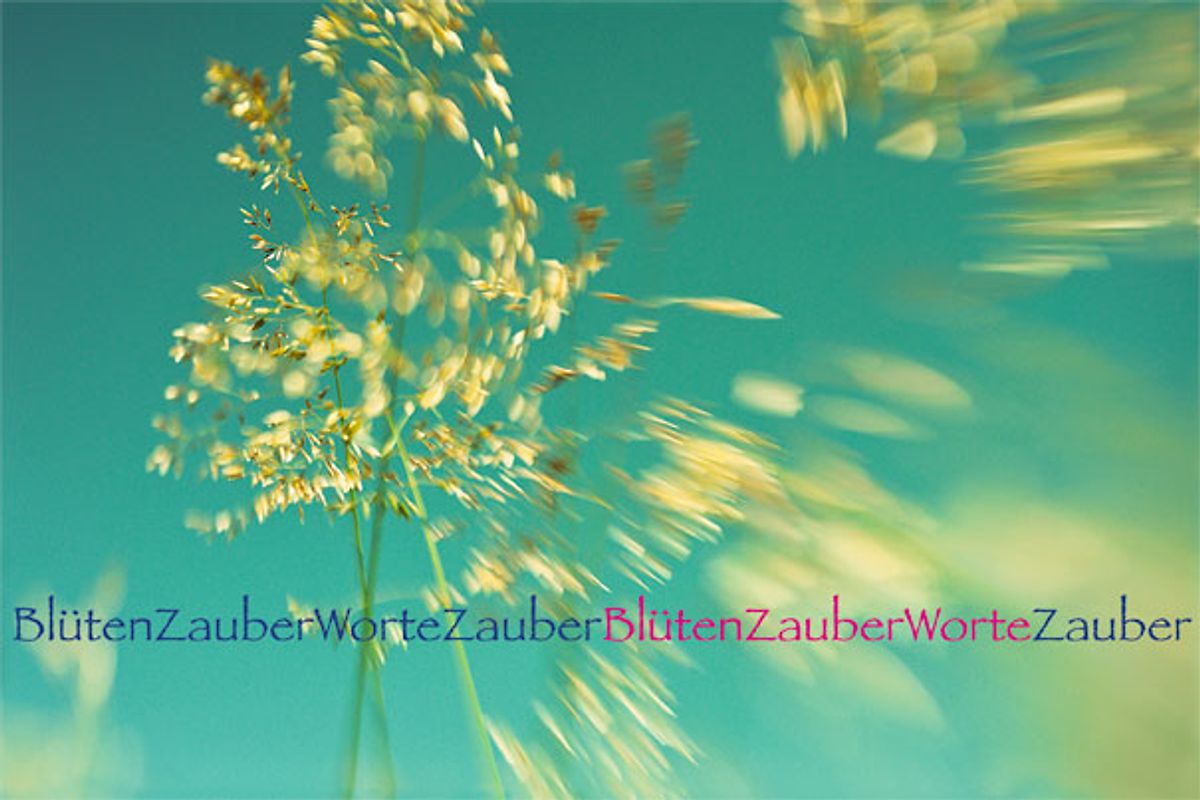 BlütenZauberWorte