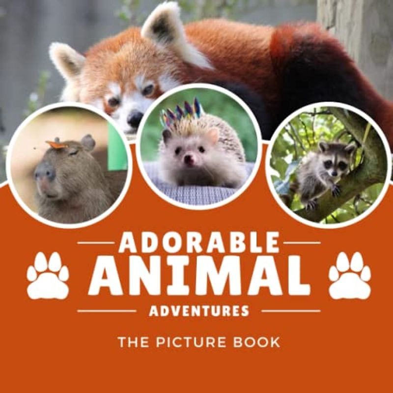 Adorable Animal Adventures Picture Book: Cutest Animal Colorful Pages For All Ages Relaxation And Stress Relief | Ideal Gift For Birthday (30 Premium Pictures With Names And Fun Fact)