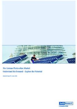 The German Photovoltaic Market 2009