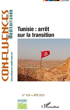 Tunisie : arrêt sur la transition