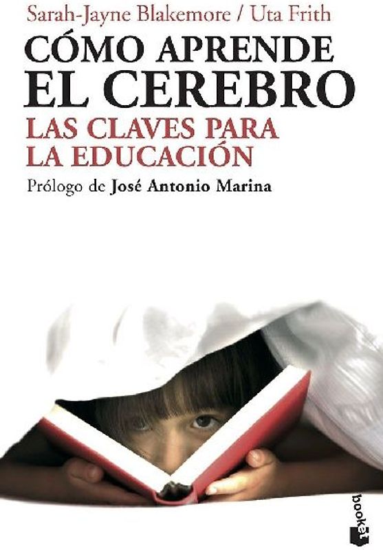 Cómo aprende el cerebro