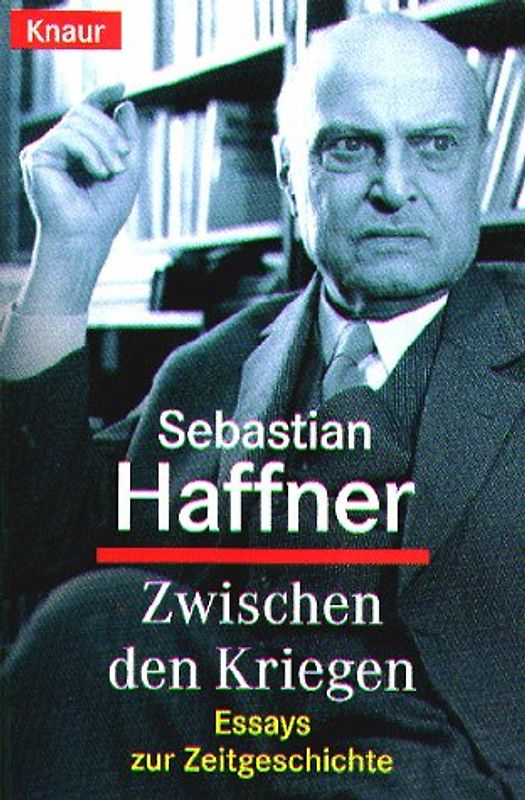 Zwischen den Kriegen. Essays zur Zeitgeschichte