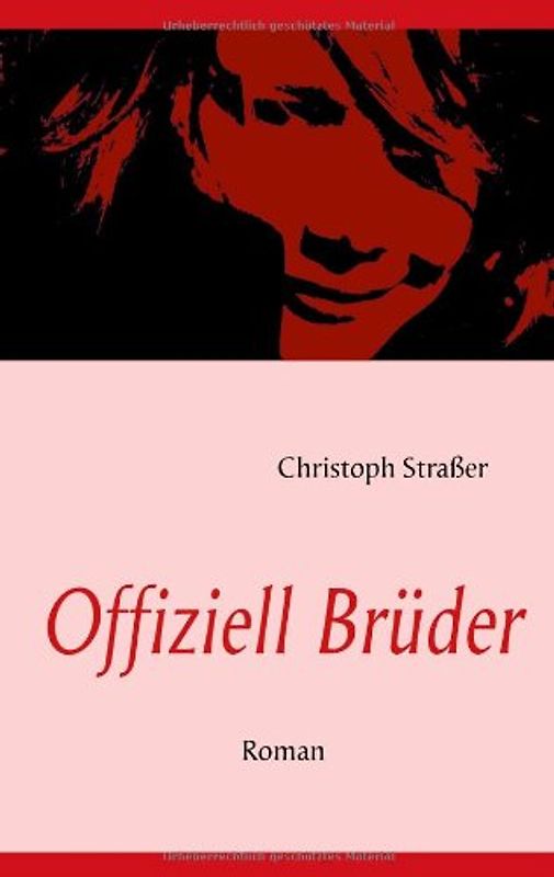 Offiziell Brüder: Roman